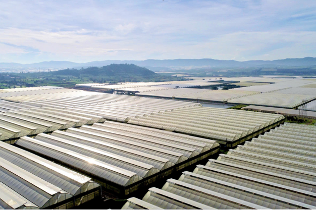Hasfarm chính thức ký kết thỏa thuận mua lại Lynch Group